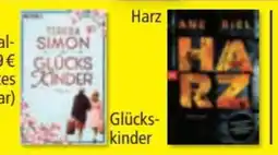 Norma Buch Angebot