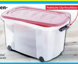 Norma Toptex Rollenbox Angebot