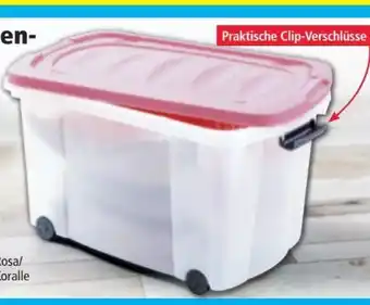 Norma Toptex Rollenbox Angebot