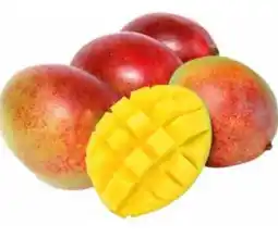 Transgourmet Mango Angebot