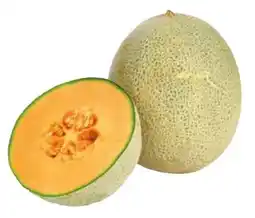 Transgourmet Zuckermelone Angebot