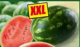 Norma River Valley Riesen-Wassermelone Angebot