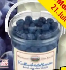 Norma Hofer Marktplatz Heidelbeeren Angebot