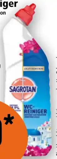 Norma Sagrotan Reiniger Angebot