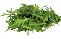 Transgourmet Natura Bio Rucola Angebot