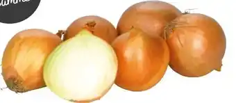 Transgourmet Zwiebel Angebot