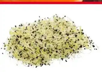 Transgourmet Knoblauchsprossen Angebot