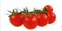 Transgourmet Cherry Rispentomaten Angebot