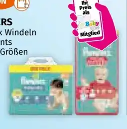 Müller Pampers Baby Dry Pants Angebot