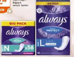 Müller Always Slipeinlagen Angebot