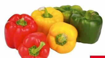 Transgourmet Paprika Mix Angebot