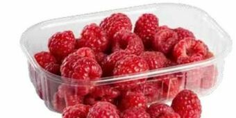 Transgourmet Himbeeren Angebot