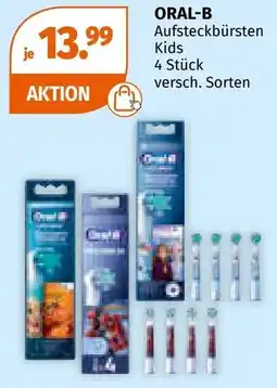 Müller ORAL-B Angebot