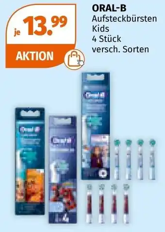 Müller ORAL-B Angebot