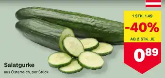 MPreis Salatgurke Angebot