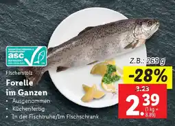 Lidl Forelle im Ganzen Angebot