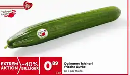 Billa Gurke Angebot