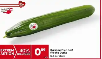 Billa Gurke Angebot