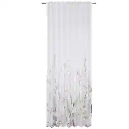 XXXLutz Fertigvorhang 4789023201 XXXLutz Angebot
