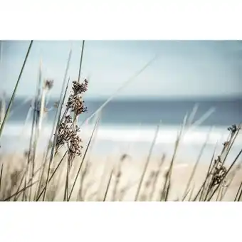 Mömax Keilrahmenbild „DESTENY“ 7120006701 mömax Angebot