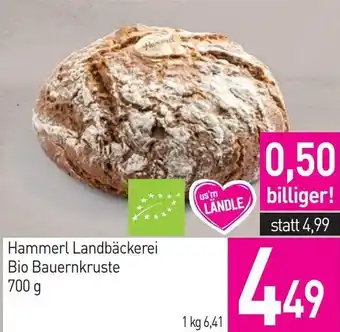 Sutterlüty Hammerl Landbäckerei Bio Bauernkruste Angebot