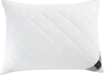 XXXLutz Billerbeck Polster Classic Clean Angebot