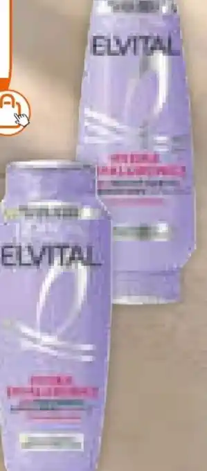 Müller L'Oréal Paris Elvital Shampoo Angebot