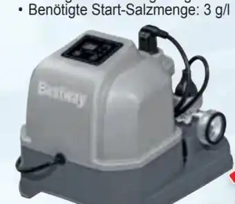Zgonc BestWay Hydrogenic Salzwassersystem Angebot