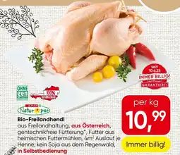 Spar Bio Freilandhendl Angebot
