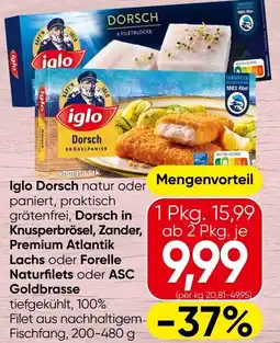 Spar Iglo Dorsch Angebot