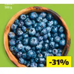 Hofer Heidelbeeren HOFER Angebot