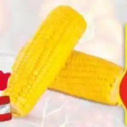 Hofer Zuckermais Frisch aus Österreich HOFER Angebot