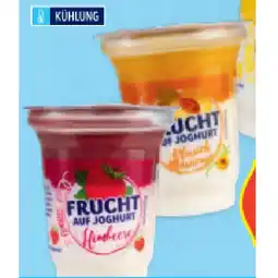 Hofer Frucht auf Joghurt versch. Sorten HOFER Angebot