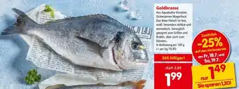 Interspar Goldbrasse Angebot
