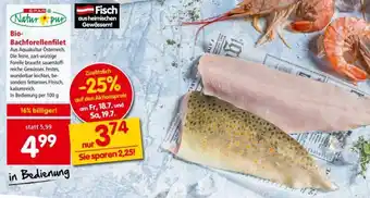 Interspar Bio-Bachforellenfilet Angebot