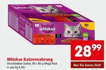 Interspar Whiskas Katzennahrung Angebot
