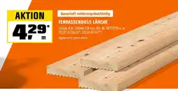 OBI Terrassendiele lärche Angebot