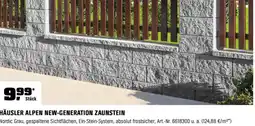 OBI Häusler Alpen New-Generation Zaunstein Nordic Grau Angebot