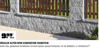 OBI Häusler Alpen New-Generation Zaunstein Nordic Grau Angebot