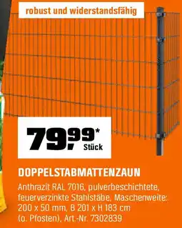 OBI Doppelstabmattenzaun Angebot