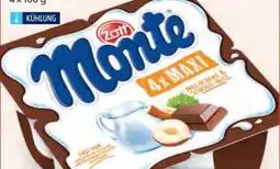 Hofer Zott Monte Maxi Schoko Angebot