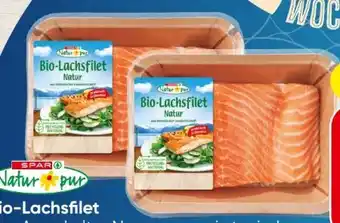 Spar Spar Natur pur Bio-Lachsfilet Angebot