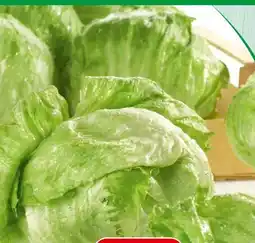 Spar Spar Eisbergsalat Angebot