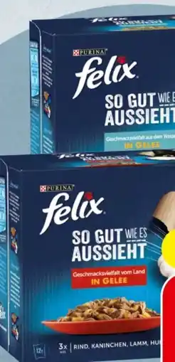 Spar Purina Felix Katzennahrung Angebot