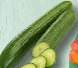 Spar Spar Gurken Angebot
