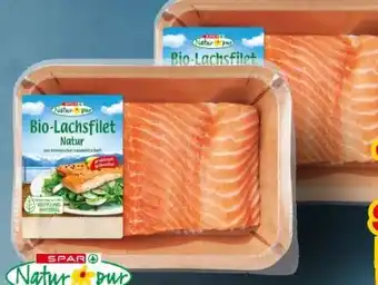 Interspar Spar Natur pur Bio-Lachsfilet Angebot