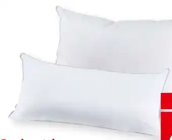 Interspar Fan Frankenstolz Polster Kuschelweich Angebot