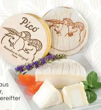 SPAR Gourmet Fromi Picandou Affine Angebot