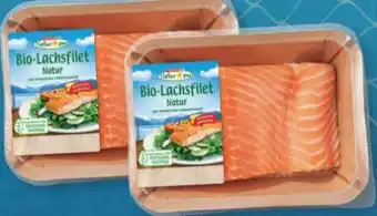 SPAR Gourmet Spar Natur pur Bio-Lachsfilet Angebot