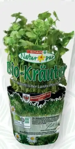 SPAR Gourmet Spar Natur pur Bio-Koriander Angebot